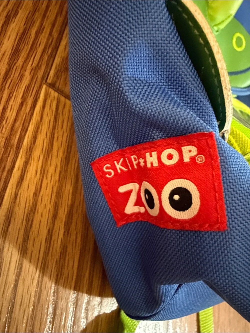 Skip Hop Blue and Green Dino Kids Backpack